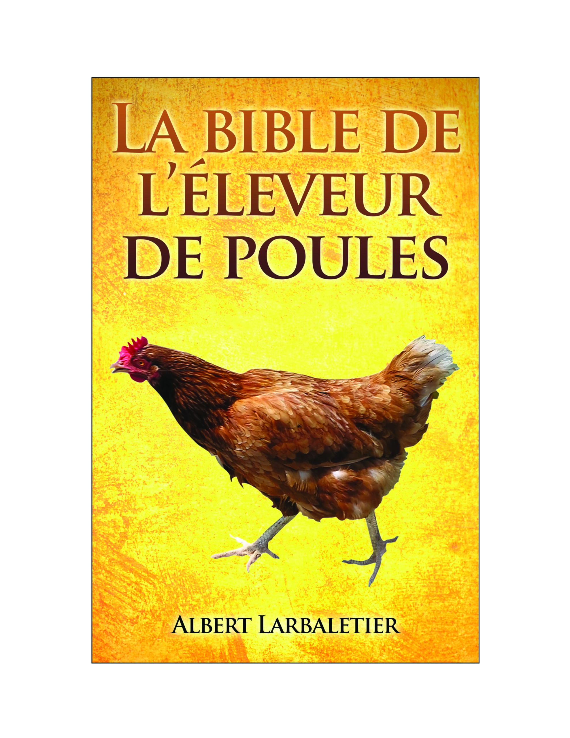 Aucune Image Disponible