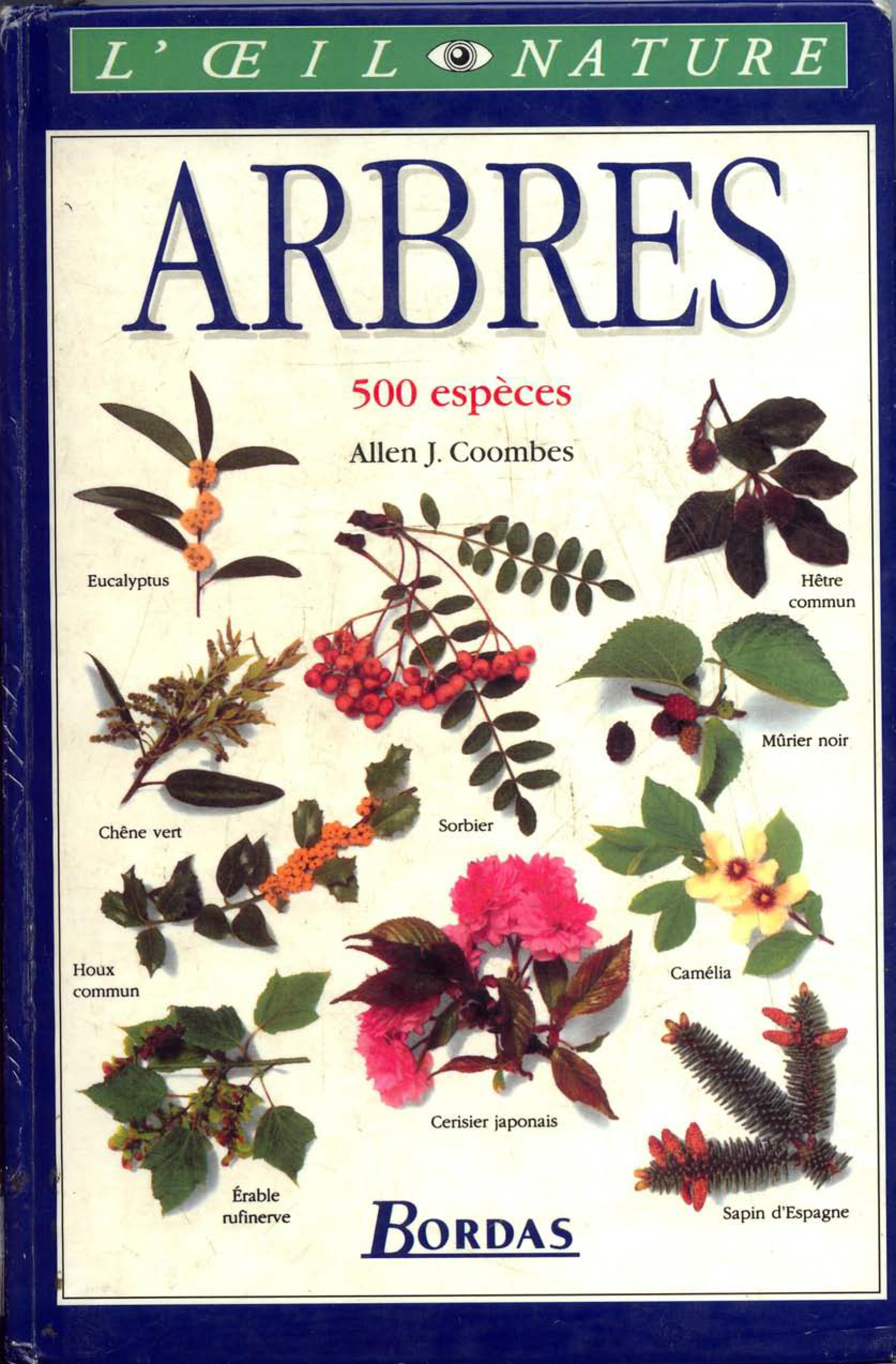 Aucune Image Disponible