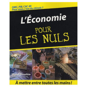 Léconomie pour les nuls (Michel Musolino)